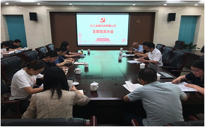 科教城投控集團(tuán)長江龍城公司黨支部組織開展“崇尚英雄、學(xué)習(xí)英雄、關(guān)愛英雄” 黨史學(xué)習(xí)教育主題活動